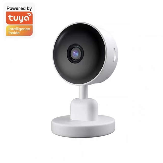 Smart Tuya App 3mp Mini Wifi Camera with Night Viison and Motion Detection
