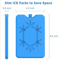Congélateur réutilisable en forme de brique glacée, glacière pour la boîte à déjeuner, vente en gros, usine,