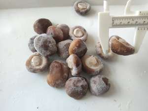 Sinocharm nuovo raccolto delizioso Champignon fungo congelato bianco Shiitake congelato - Product Image 2