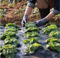 Toile tissée en PP découpée sur mesure pour la lutte contre les mauvaises herbes dans l'agriculture commerciale, tapis de protection contre les adventices