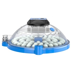 Jiatai Bán Buôn 12 24 <span class=keywords><strong>60</strong></span> Trứng Khay Phụ Tùng Lồng Ấp Tự Động Cho Gia Cầm Thiết Bị Nông Nghiệp - Product Image 4