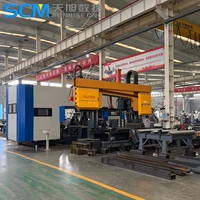 Ligne de perçage et de sciage à grande vitesse CNC TBHD1250T pour poutre