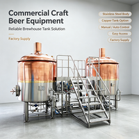 Équipement de brassage de bière, usine de brasserie, cuve de fermentation 100L-1000L, cuve sous pression, triphasé 380V 50Hz, commande PLC, électrique