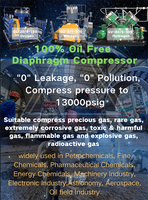 Compresseur à membrane 200 Bar 250 Bar 450 Bar pour la génération de gaz hydrogène H2 refroidi par air avec moteur et composants de noyau de roulement