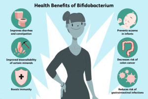 Bifidobacterium longum 10 tỷ CFU/G Probiotics Bifidobacterium longum bột - Product Image 5