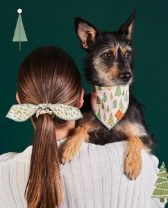 Arnés de Seguridad para Mascotas, Correa y Pañuelo, Set de Accesorios para Perros - Product Image 3