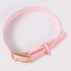 Correa y Collar para Perro Impermeables de Color Azul, Ajustables, con Logotipo Personalizado, Recubiertos de PVC - Product Image 6