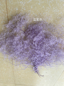 2020ขายร้อนดอกไม้ที่เก็บรักษาไว้Babysbreath Preserved<span class=keywords><strong>ล้าน</strong></span>Starสำหรับตกแต่งบ้าน - Product Image 6