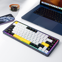 Clavier mécanique de jeu ultra fin RGB à profil bas sans fil Bluetooth 75% en aluminium avec disposition arabe espagnole personnalisée 84 touches