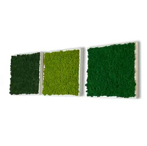 Natuurlijke Bewaard Moss Gestabiliseerd Echte Verse Rendiermos Groen Mos Panel Voor Wanddecoratie