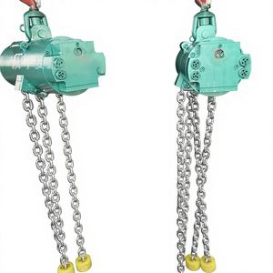 HQ5 Fixed Walking Pneumatic <span class=keywords><strong>Hoist</strong></span> Kapasitas Beban <span class=keywords><strong>250kg</strong></span> Perlindungan IP55 untuk Jalur Bawah Tanah - Product Image 3