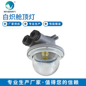 Lampes marines à incandescence CCD5-2B, éclairage de pont et de compartiment de chargement pour navires - Product Image 1