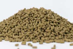 Alimento <span class=keywords><strong>de</strong></span> <span class=keywords><strong>tortuga</strong></span> marsopa <span class=keywords><strong>de</strong></span> 10kg para criar tortugas, proteína <span class=keywords><strong>de</strong></span> insecto, huevo probiótico <span class=keywords><strong>de</strong></span> alta proteína, <span class=keywords><strong>tortuga</strong></span> acuática - Product Image 4