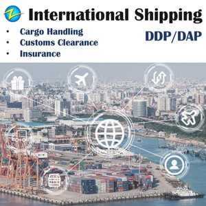 Envío Puerta a Puerta Económico DDP por Mar, Costo de Transporte FCL LCL 20GP 40HQ, Envío desde Shanghái, Shenzhen, Tianjin a <span class=keywords><strong>Ascoli</strong></span> <span class=keywords><strong>Piceno</strong></span>, Italia - Product Image 3