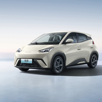 Voitures électriques BYD Seagull 2024 Honor Edition 305km Free Edition/405km Flying Edition Bon prix