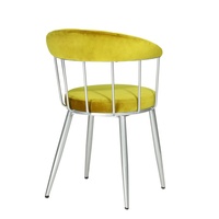 Chaise de salle à manger pour projet commercial, revêtement en velours, pieds en métal détachables avec revêtement en poudre, chaise de café, bistrot, restaurant