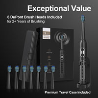 Brosse à dents électrique sonique Eisler T8, vente en gros, logo personnalisé, étanche IPX7, 5 modes, rechargeable, batterie 30 jours, OEM, marque privée