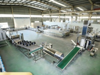 Línea de Procesamiento de Papas Fritas y Patatas Fritas de Acero Inoxidable, Maquinaria de Producción Automática
