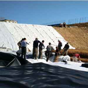 Especificaciones Completas de Geomembrana/Geomembranas de Plástico de 1.0 mm y 1.5 mm, Revestimiento de HDPE para Estanques y Presas - Product Image 3