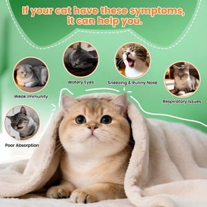 OEM ODM Masticables Blandos <span class=keywords><strong>de</strong></span> Lisina <span class=keywords><strong>de</strong></span> Rápida Absorción y Seguros para Reforzar el Sistema Inmunitario 250mg para Gatos y Perros, Alivio <span class=keywords><strong>de</strong></span> Alergias, <span class=keywords><strong>Estornudos</strong></span>, Nariz Escupitosa y Ojos Llorosos - Product Image 2