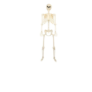 Modelo de esqueleto de Halloween, simulación de esqueleto humano, decoración para casa embrujada, accesorios para fiestas de terror, venta al por mayor - Product Image 6