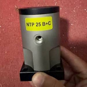 Vibrateur à boules Ntp25 Ntp32 Ntp48, alimentateur vibrant à piston alternatif, vibrateurs de béton motorisés Netter, originaux et neufs, en stock - Product Image 5