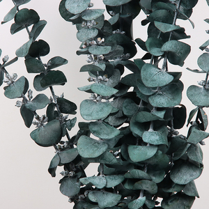 Décoration murale, feuilles d'<span class=keywords><strong>eucalyptus</strong></span> séchées blanches, couronne de fleurs, <span class=keywords><strong>guirlande</strong></span> de fleurs séchées préservées - Product Image 6