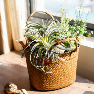 Eco-Friendly Multifunction Artistic Pastoral Style Rustic Rectangle Handmade Creative <b>Woven</b> Portable <b>Storage</b> <b>Baskets</b> - Product Image 2