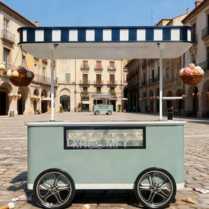 Chariots de vente ambulante pour hot-dogs, pizzas, café, glaces, kiosque, cuisine mobile, remorque rapide, camion de nourriture à vendre - Product Image 3