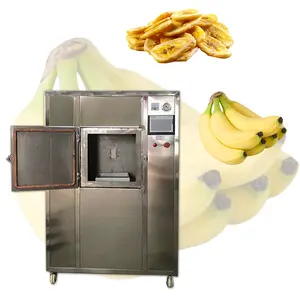 Chinese Factory Box type microwave vacuum dryer for fruit and vegetable