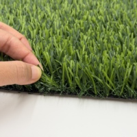 Gazon synthétique en polypropylène résistant aux UV, sans remplissage, ignifuge, haute densité, pour décoration murale intérieure