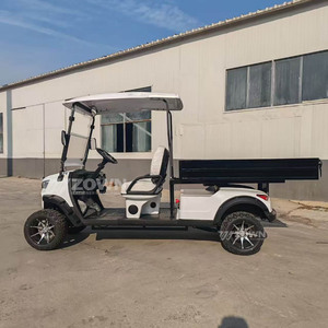 Carrito de Golf Eléctrico de 2 Pasajeros con Certificación CE para Hoteles, Resorts y Atracciones Turísticas, Venta al Por Mayor - Product Image 6