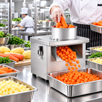 Machine à découper les légumes commerciale en acier inoxydable, hachoir électrique pour aliments avec grilles de coupe optionnelles de 6 à 30 mm pour restaurants