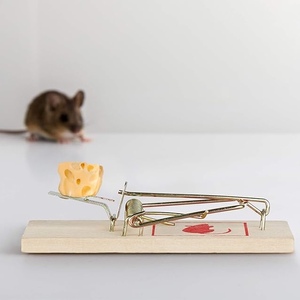 Trampa para Ratones Clásica al por Mayor, Reutilizable, Sin Veneno, para Captura de Animales, con Colgador Metálico, de Madera, Natural - Product Image 5