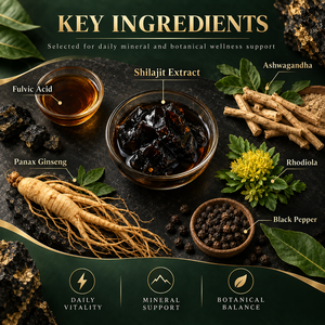 Cápsulas de Nutrición Energética Diaria, Extracto de Shilajit, Ácido Fúlvico, Ginseng, Ashwagandha, Rhodiola, Zinc, B12, Venta al por Mayor OEM - Product Image 3