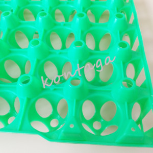 Incubatrice porta imballaggi in plastica per trasporto uova in plastica circolanti - Product Image 4