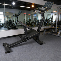 Équipement de musculation pour salle de sport, appareil d'étirement, équipement de salle de sport unisexe, machine de fitness pour l'extension du dos, banc d'extension