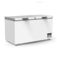 Portable commercial petit horizontal 200l 100 300 400l 200 litre refroidisseur à poitrine profonde réfrigérateurs et réfrigérateurs-congélateurs