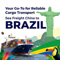 Entreprise de transport de fret professionnel Chine-Brésil, agent maritime DDP, livraison directe, conteneur maritime sec 40/45HQ
