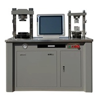 Fully Automatic 300kN Cement Compression Flexural Testing Machine Model DYE-300-10S 200mm Platen 220V/380V Input for Laboratory