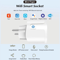 Prise Intelligente Wi-Fi Tuya en Gros avec Moniteur de Puissance, Prise Murale Connectée EU 16A/20A 110V-240V pour Appareils Domestiques
