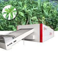 800 kg/uur 220V motor & motor aangedreven avocado-abrikozen fruitdroogmachine met gaasband voor sheanoten, dadelpalmen, vijgen, guava's, ananas en perziken
