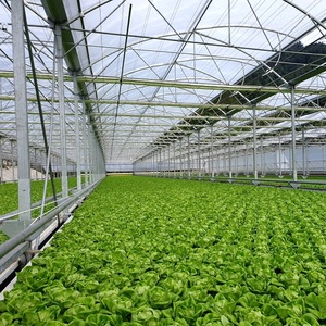 Yqdft-système de culture hydroponique pour la croissance des feuilles, légumes, littes, salade et herbes - Product Image 5