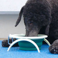 Bol de voyage pour chien, bols pliables pour animaux de compagnie
