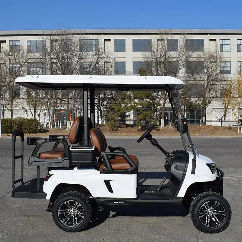 Carrito de golf eléctrico personalizado con precio de fábrica al por mayor, dirección asistida eléctrica, carrito de golf