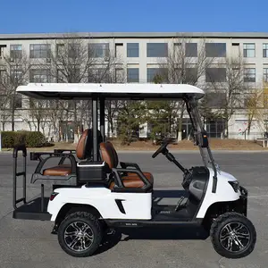 Wholesale Factory Price Of Customized Electric Golf Carts Electric Power Steering Golf Buggy