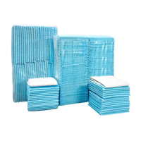 Sous-couche réutilisable pour animaux domestiques Fluff Pulp Material ABSORBENT Machine Bed Nursing Dog Puppy Toilet Jetable Waterproof Bed Sheet