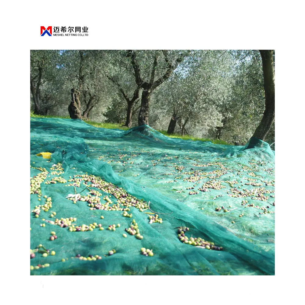 DT-BN Sử Dụng Nông Nghiệp Net Olive Net Chất Lượng Tốt Màu Xanh Đậm Olive Net Cho Bộ Sưu Tập Ô Liu