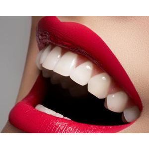 Materiali di consumo dentali all'ingrosso protesi dentaria artificiale di alta qualità attrezzatura dentale protesi acrilica completa su misura - Product Image 3