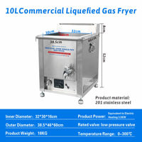 Friteuse à gaz commerciale Hansu 10L à double température avec affichage numérique pour snacks - Vente en gros en ligne
